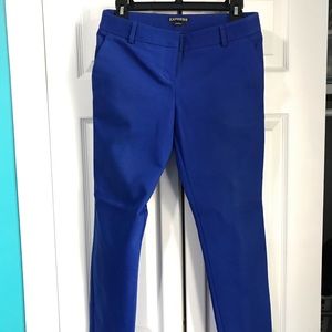 Royal Blue Express Columnist Pants